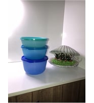 Tupperware Mucize Şekerler Mavi Mavi