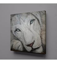 BEYAZ ASLAN KANVAS TABLO 90x90cm (Karışık)