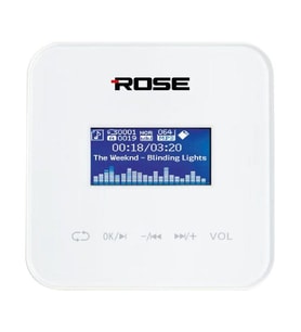 Rose RWT-100 4x25 Watt Duvar Anfi Mp3, Bluetooth, SD Kart FM Radyo 100 Watt Kumandalı
