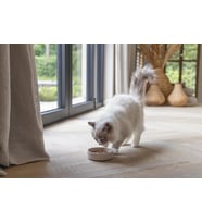 Beeztees DBL Kedi Mama Su Kabı, Bambu, Bej 12cm, 250ml