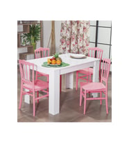Arda / Miray Mutfak Masa Takımı 4 Sandalye 1 Masa - Pembe