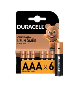 NessiWorld 6Lı AA Kalem Pil