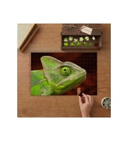 Yeşil İguana Tasarımı 240 parça Ahşap Puzzle Ahşap Kutuda MP10948