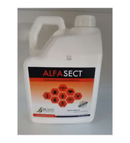 Alfa Sect Sc Kokusuz Haşere ÖldÜrÜcÜ (5 L)