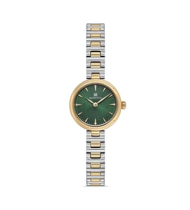 MOMENTUS CW313T-15SG