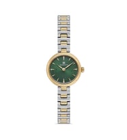 MOMENTUS CW313T-15SG