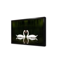 Beyaz Kuğu Çerçeveli Mdf Tablo