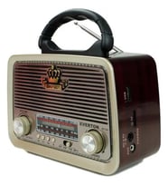 everton rt-301 radyo