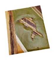 Papirüs Yapraklı Fotoğraf Albümü 27 cm (Çok Renkli)