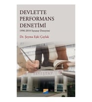 Devlette Performans Denetimi