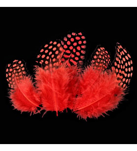 50ADET PUANTİYELİ KIRMIZI SİYAH KUŞ TÜYÜ KIRMIZI KUŞ TÜYÜ RED BIRD FEATHER KIRMIZI ŞEFFAF BALON TÜYÜ