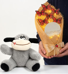Peluş Eşek ve Led Işıklı Aynalı Kırmızı Kelebek Buketi Hediye Seti