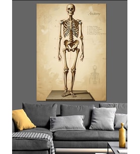 İnsan İskeleti Anatomik Çizim Dekoratif Kanvas - Mdf Ahşap Tablo