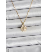 316L Çelik Zincir Gold Renk Yonca Model Kadın Kolye 5886 - 1OL7622-2785