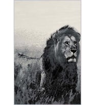 Eliana Home Baskılı, Yıkanabilir Kaymaz Taban Salon Halısı LNA1444 100x150 cm (Gri)