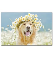 Cakatablo En İyi Köpek Ppatya Tacı Başınnda MDF Tablo