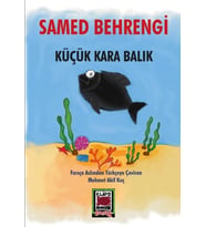 Küçük Kara Balık