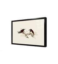 Tablosan Dalda Kuşlar Çerçeveli Cam Tablo