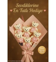 Peluş Ayıcık Buketi ve Pembe Aşk Serisi – El Yapımı Peluş Ayıcık Buketi – Doğum Günü- Sevgililer Günü-Öğretmenler Günü - Kadınlar Günü Hediyesi (Pembe-Pudra)