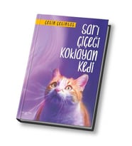 Sarı Çiçeği Koklayan Kedi