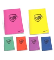 Çınar College 60 Yaprak Çizgili A4 Defter Pp Kapak - 2 adet