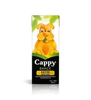 Kayısı Meyve Suyu 200 Ml.