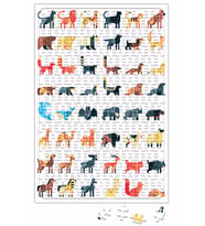 Animal World Puzzle 240 Parça Yapboz