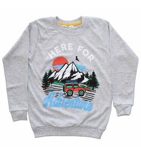 Erkek Çocuk Gri Adventure Baskılı Tek Üst Sweat