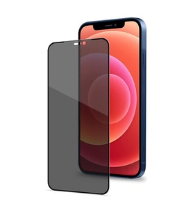 iPhone 12 Pro Max Uyumlu Privacy Ön Koruma Temperli Hayalet Cam Ekran Koruyucu (Siyah)