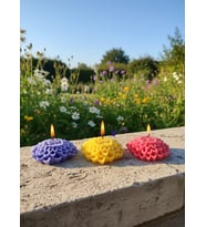 YILDIZ ÇİÇEĞİ 3'LÜ HEDİYELİK DEKORATİF HOŞ KOKULU PARAFİN WAX MUM (KIRMIZI + SARI + MOR RENKLİ)