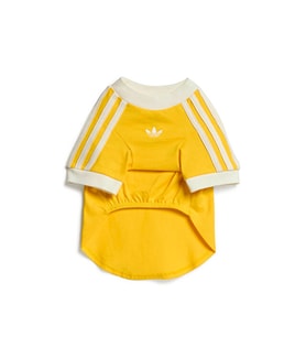 Adidas PET CALI TEE Kedi-Köpek Tişörtü KY8731 Sarı