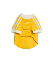 Adidas PET CALI TEE Kedi-Köpek Tişörtü KY8731 Sarı