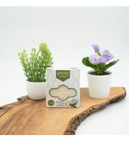 Kb Köyceğiz Yöresel Çörekotu Yağlı Naturel Sabun 80 G