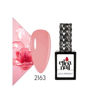 Profesyonel Kalıcı Oje 15 ml 2163