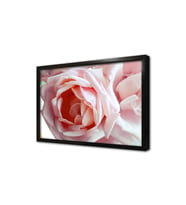 Peöbe Gül Makro Çekim Çerçeveli Mdf Tablo