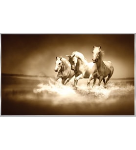 PROWALL POSTER DUVAR KAĞIDI 427 8 PARÇA (3.68mt X 2.54mt)