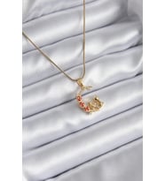 316L Çelik Gold Renk Hilal Kedi Model Zirkon Taşlı Detay Kadın Kolye 5886