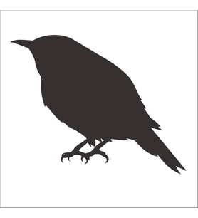 KUŞ FOLYO STİCKER DERSTV933 100cm Uzunluk (Karışık)