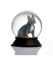 Snoowg Cam ve Reçine Altın Patiler Köpek French Bulldog (Gri) Kar Küresi Hediye