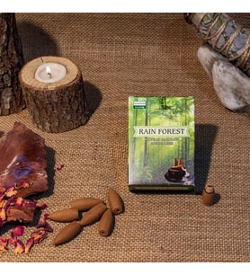 RAİN FOREST KOKULU GERİ AKIŞ CONES TÜTSÜ (Karışık)