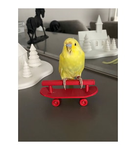 Kırmızı Renk Muhabbet Kuşu Ve Boyutlarındaki Kuşlar Için Kaykay Tünek Tekerlekli