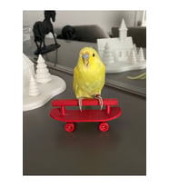 Kırmızı Renk Muhabbet Kuşu Ve Boyutlarındaki Kuşlar Için Kaykay Tünek Tekerlekli