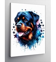 Kanvas Tablo Yıldızlar Ve Köpek