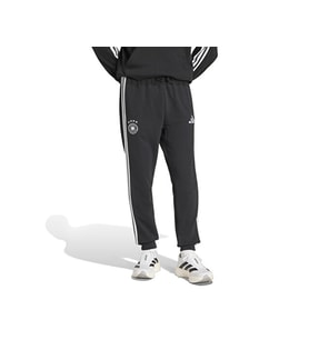 Adidas FIFA World Cup 26 Dfb Dna Pnt Erkek Futbol Eşofman Altı JZ9349 Siyah