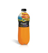 Pulpy Meyve Tanem 1 Lt.
