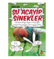 Şu Acayip Sinekler