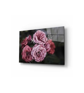 Doğa Cam Tablo 4mm Dayanıklı Temperli Cam (Çok Renkli)