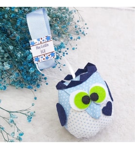 30 Adet Peluş Baykuş Erkek Bebek Doğum Hediyelik-