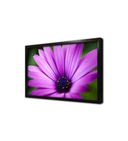 Lila Çiçek Makro Çekim Çerçeveli Cam Tablo