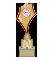 ODAK KUPA - Genel Kupalar - GN-195 A - 33 cm